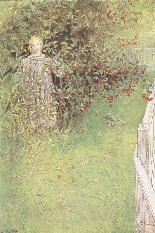 Carl Larsson A Fairy China oil painting art